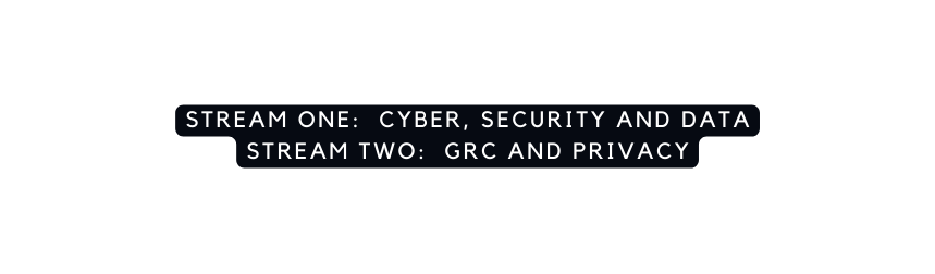 Stream One Cyber security and data stream two grc and privacy